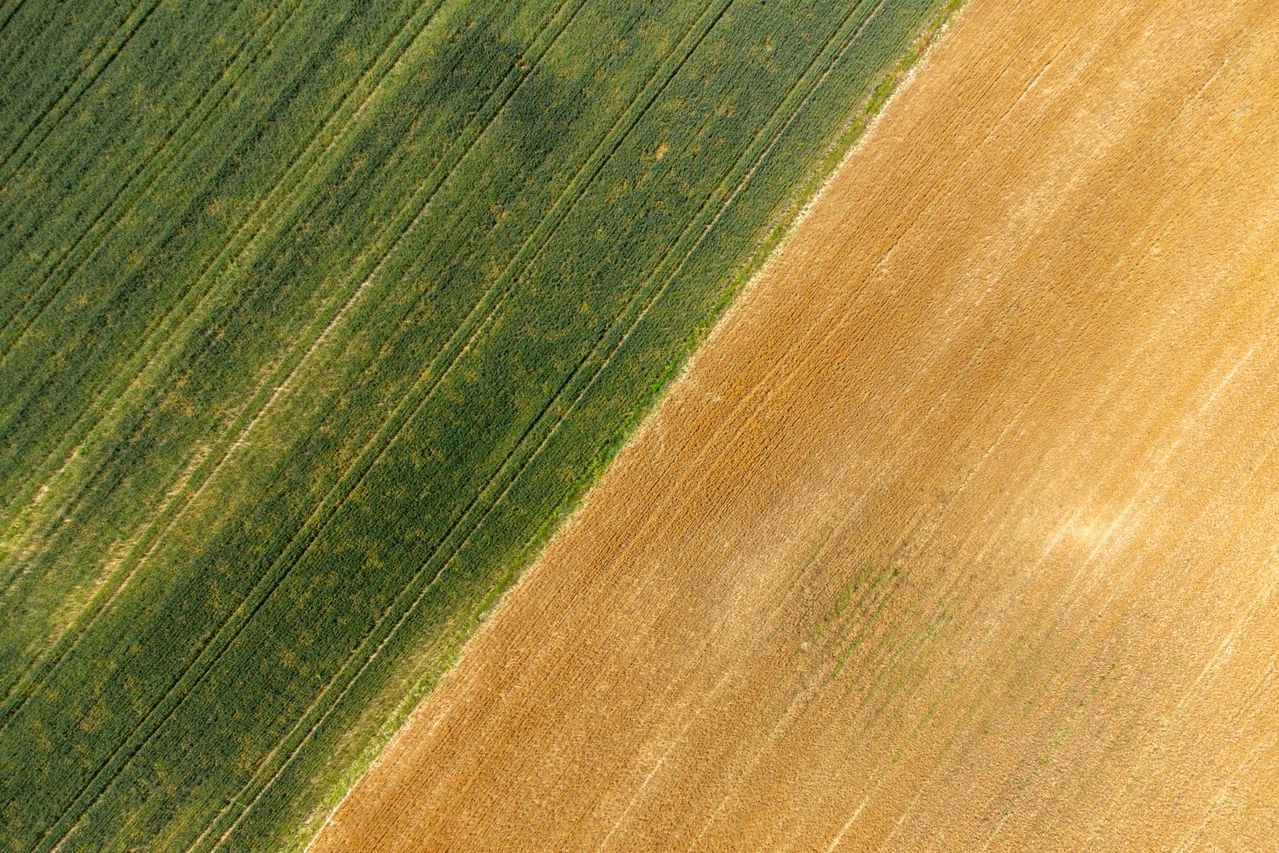 Land commercial real estate