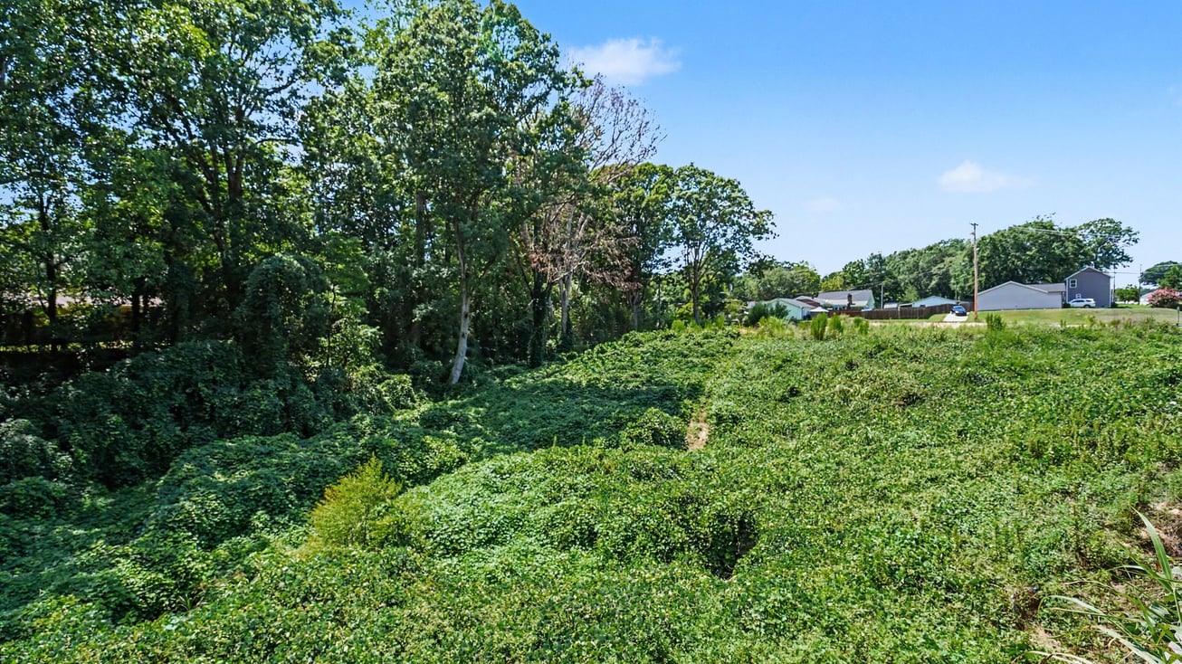 415 White Street property view 9